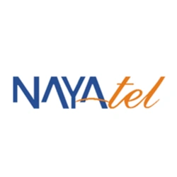 Naytel Logo